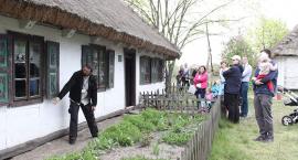 zdjęcie nr 7