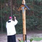 zdjęcie nr 11