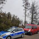 zdjęcie nr 18