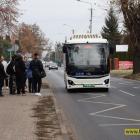 zdjęcie nr 12