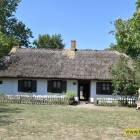 zdjęcie nr 33