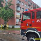 Fotka nr 2 z 12
