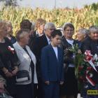 zdjęcie nr 33