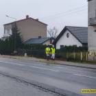 zdjęcie nr 12