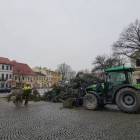 Fotka nr 5 z 7