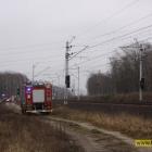 Fotka nr 4 z 13