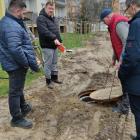 zdjęcie nr 13