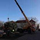 Fotka nr 4 z 18