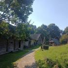 zdjęcie nr 13