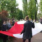 zdjęcie nr 7