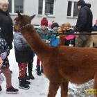 zdjęcie nr 23