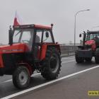 zdjęcie nr 19