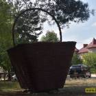 zdjęcie nr 34