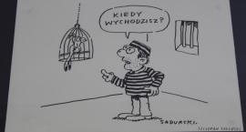 zdjęcie nr 7