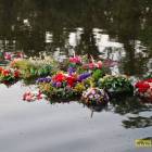 zdjęcie nr 212
