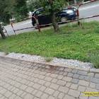 zdjęcie nr 7