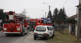 Fotka nr 5 z 10