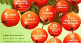 Fotka nr 2 z 3