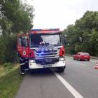 Fotka nr 5 z 6