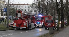 Fotka nr 4 z 5