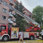 zdjęcie nr 8