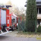 Fotka nr 2 z 10
