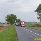 zdjęcie nr 8