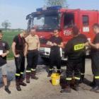 Fotka nr 5 z 7