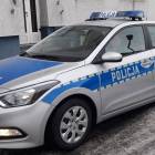 Fotka nr 1 z 2
