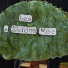 zdjęcie nr 21