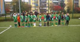 Fotka nr 4 z 10