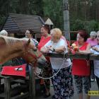 zdjęcie nr 70