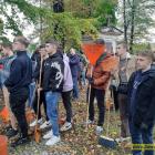 zdjęcie nr 15