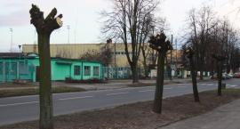 zdjęcie nr 7