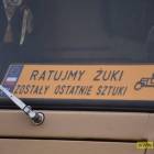 zdjęcie nr 19