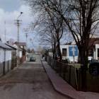 zdjęcie nr 82