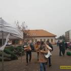 zdjęcie nr 35