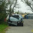 Fotka nr 2 z 5