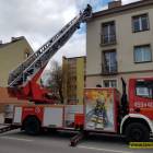 Fotka nr 4 z 17