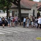 zdjęcie nr 11