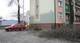 Fotka nr 3 z 5