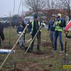 zdjęcie nr 35