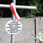 zdjęcie nr 11
