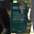 zdjęcie nr 46