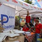 zdjęcie nr 50