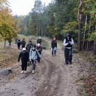 zdjęcie nr 