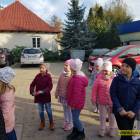 zdjęcie nr 17