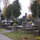 zdjęcie nr 19