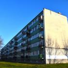 zdjęcie nr 
