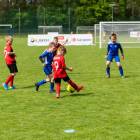 Fotka nr 2 z 16